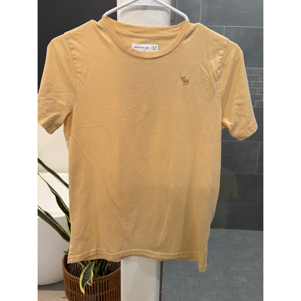 Abercrombie Kids Tee